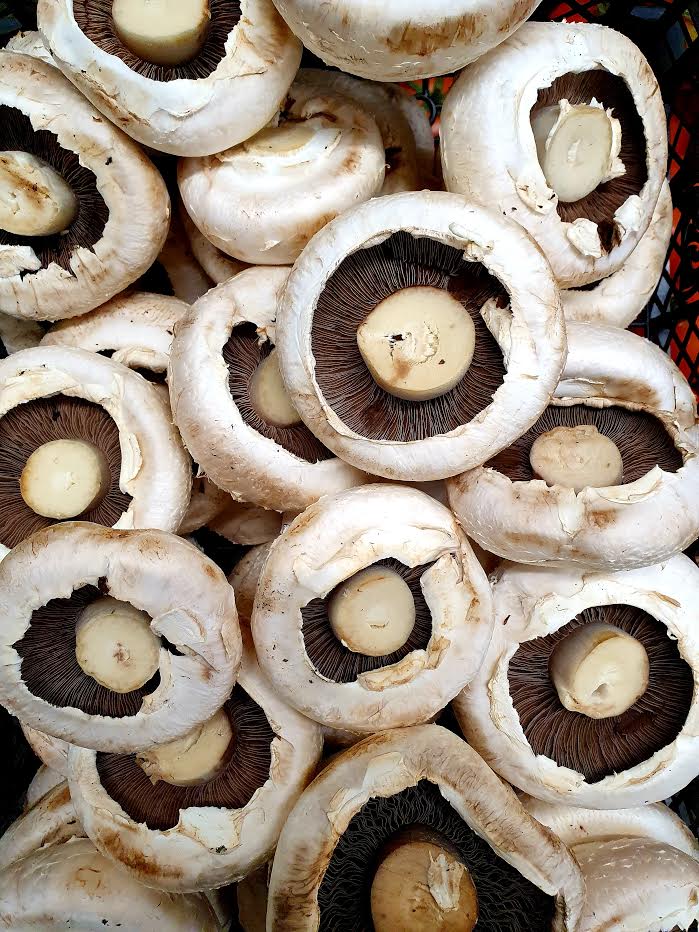 300G FLAT MUSHROOM