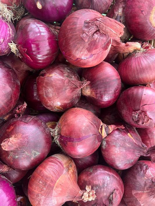 RED ONIONS