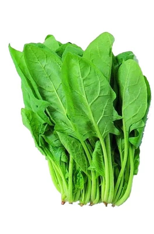 FRESH SPINACH