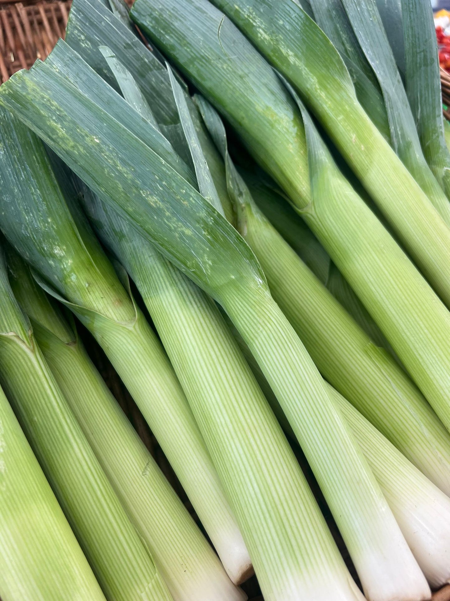 650G LEEKS