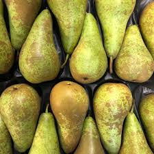 CONFERENCE PEARS
