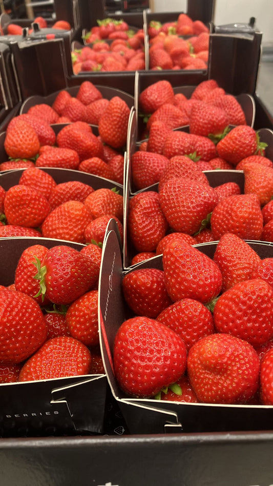 PREMIUM STRAWBERRY 500g