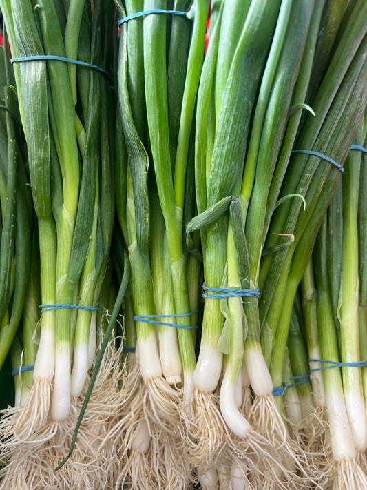 SPRING ONIONS