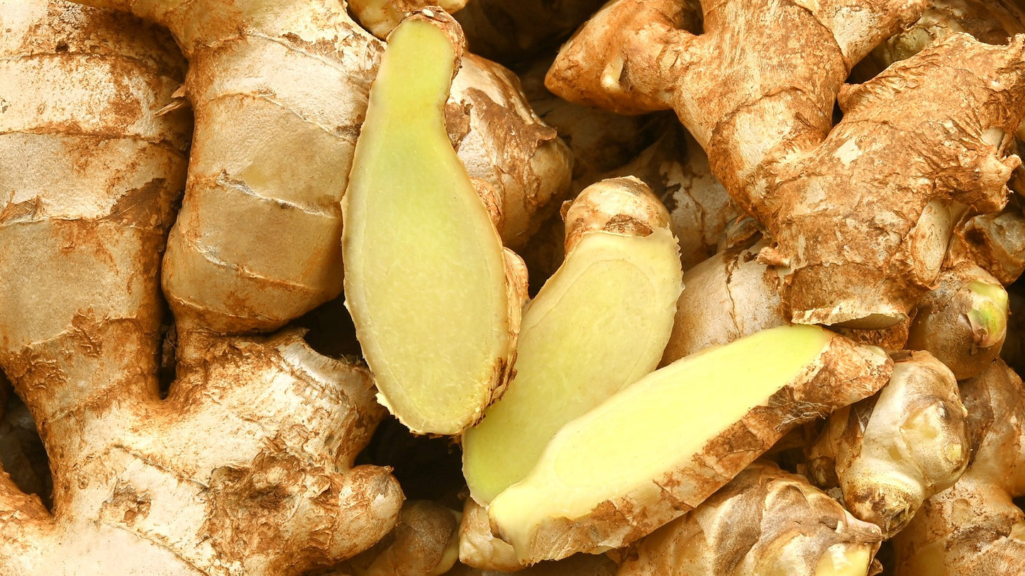 500G GINGER